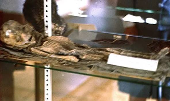 SHOCKING Discovery in Attic: "Alien Corpse" Photos from Roswell UFO Crash Finally Revealed?